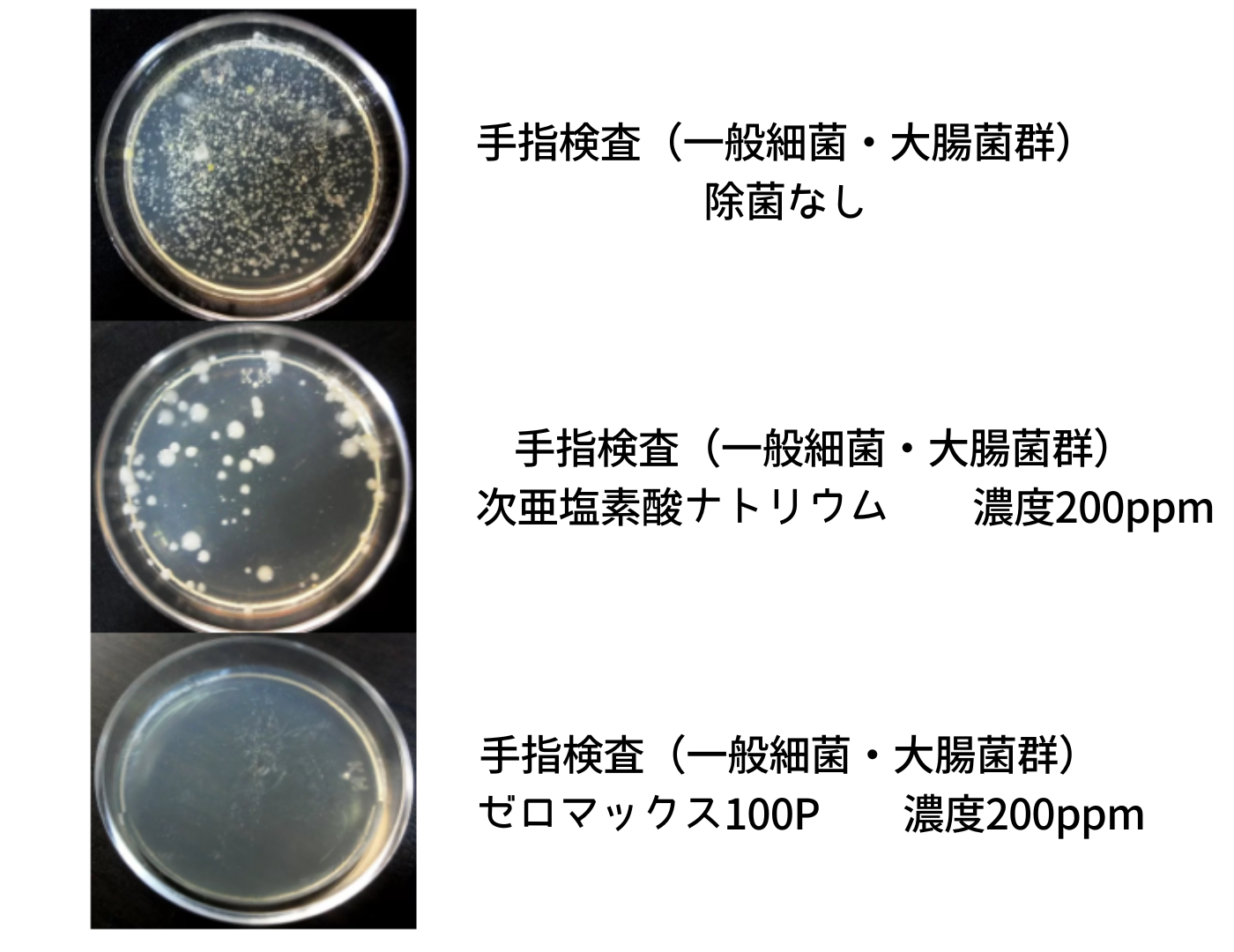 厨房の油汚れ洗浄と除菌対策セット|洗剤のエースHC 1kg+100P120g - 画像 (13)
